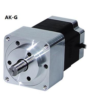 China Geared type 5 – Phase Stepper Motor for sale