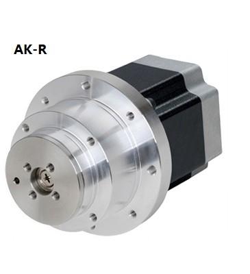 China Rotary Actuator Type 5-Phase Stepper Motor for sale