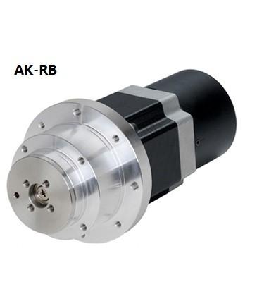 China Rotary Actuator + Brake built-in type 5-Phase Stepper Motor for sale