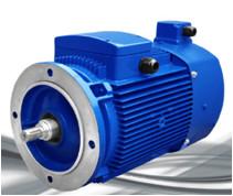 China YVP2 series variable frequency three-phase asynchronous electric motor(H80-280), 0.12-90KW for sale