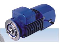 China YEJ2 series breaking three-phase induction motor(H63-280) for sale