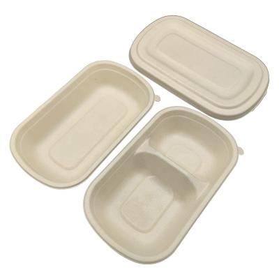 China Minimalist Disposable Compostable Biodegradable Eco Friendly Sugarcane Bagasse Pulp Rectangle Container With Lid for sale