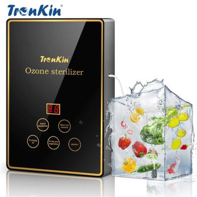 China Portable Mini Fruit Vegetable Washer Cleaner Machine Generador De Ozono Food Meat Purifier Ozone Generator Home Fruit St en venta