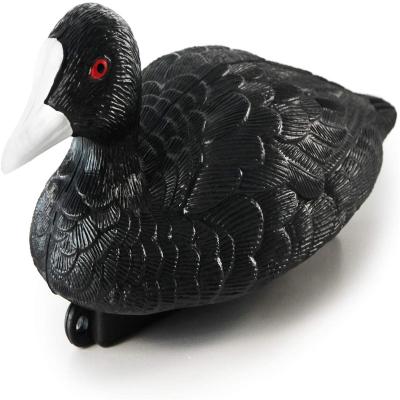 Chine Realistic Plactic Coot Hunting Decoys Plastic Duck 12