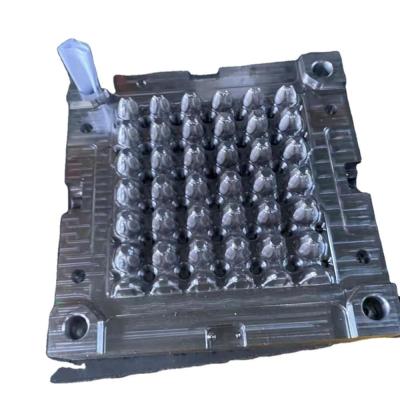 China Steel video! ! Exporting since 2004, professional factory egg tray/supporting plastic injection molding, mold for sale