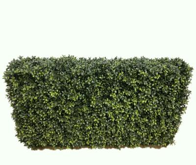 China PLASTICS + WOODEN TRUCKS + CEMENT UV Protected Outdoor Indoor Boxwood Hedge Balcony Plant Artificial Plant for sale