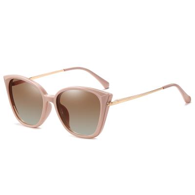 China Fashion Sunglasses Wholesale Light Blue Anti Cat Eye Ladies TR90 Frame Polarized Magnetic Clip On Shades Sunglasses for sale