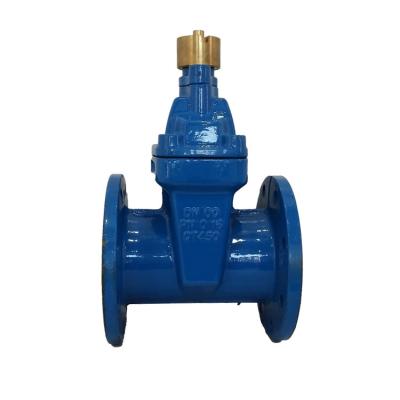 China China General Factory Price Magnetic Encryption Seal Elastic Lock Gate Valve DN50/100/200/200 inc2