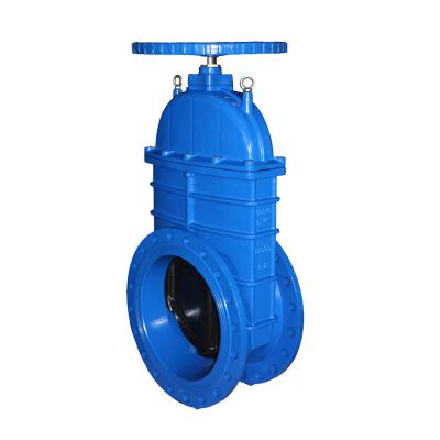 China Competitive Price General Cast Iron ANSI Seat Resilient Gate Valve for sale