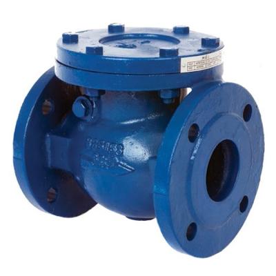 China DN50-DN600mm Material EN-GJL-250 BS F6 Check Valve 2-12