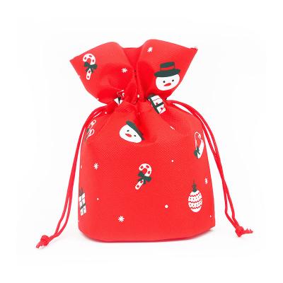 China Rope Handle Christmas Folding Nonwoven Handbag Printed Rope Bag for sale