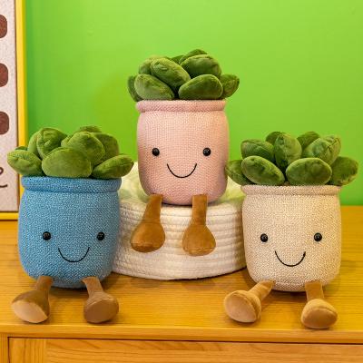 China New 25cm Succulents Tissue Bonsai Cartoon Doll Decorative Promotional Gifts Birthday Gifts Toy Children's Factory Simulation Potted Plush Toy for sale