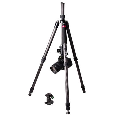 China Digital camera cambofoto carbon fiber tripod lifting monopod FCS284 for sale