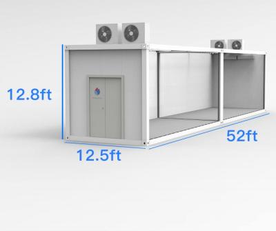 China Full Automated Cycle Farm Grow Box Hydroponics Container Farm For Strawberry And Microgreen for sale