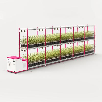 China With Rail Aeroponic Lettuce Grow System 2021 Hot Greenhouse Vertical Grow System for sale