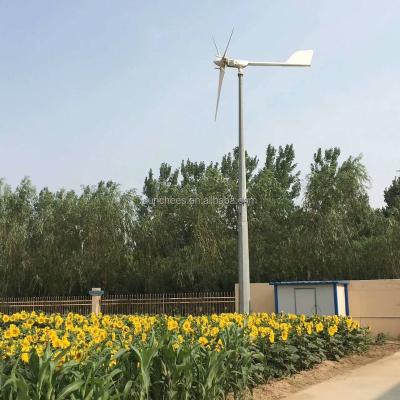 China 20kw home wind turbine with wind power on grid AC380v 20KW DC240V off grid wind complete set for sale