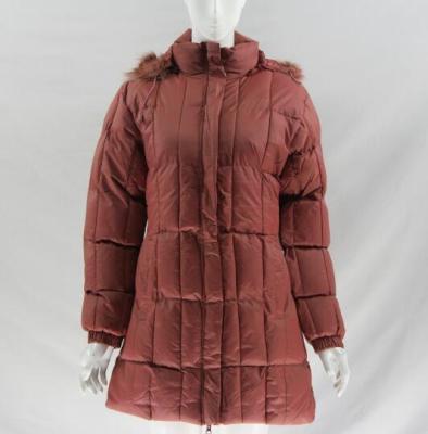 China Sustainable Women's Slim Winter Jacket With Hood Stock Lot for sale