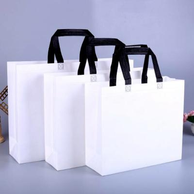 China 100% eco-friendly/lightweight/cheap white non woven carry bags non woven shopping bag non woven tnt bag for sale