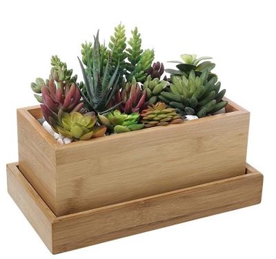 China Europe Wooden Plant Seeds Box , Indoor Outdoor Window Sill Vegetable Garden Grass / Flower Planter Bowl for sale