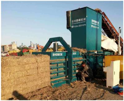 China Horizontal Paddy Alfalfa Paddy Pine Straw Baler Machine Hay Baler for sale