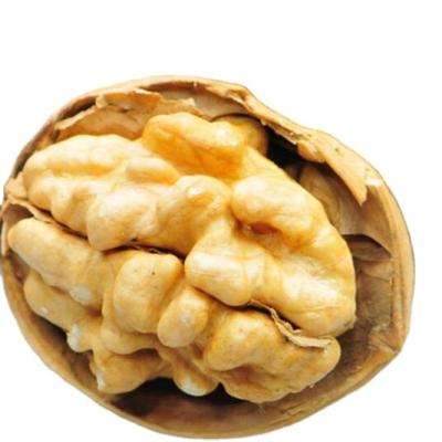 China Chinese Fresh Walnut Xinjiang Walnut Dandruff Price for sale