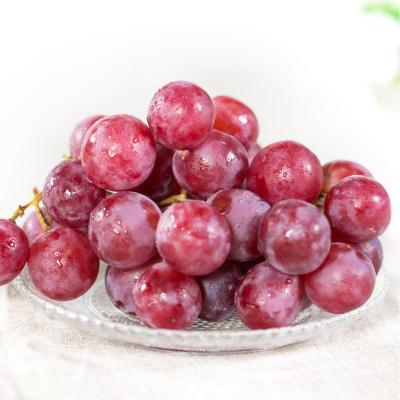 China Fresh Fresh Red Globe Grapes For Sale Red Globe Grapes Dimension for sale