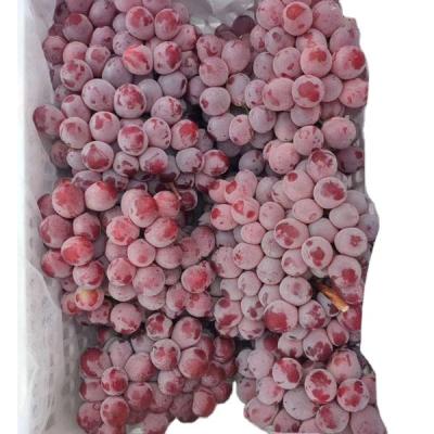 China New Chinese Fresh Grape Season Grape Price for sale