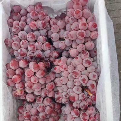 China Natual & 2019 healthy new season red grape globe red grape in sale Yunnan red grape for sale