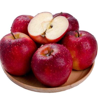 China Fresh price huaniu apple huaniu red apple for sale