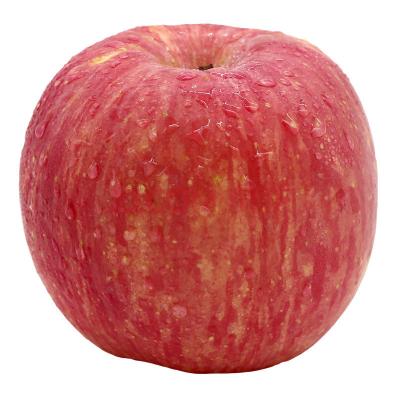 China Fuji Fuji Red Apples Fuji Apple Price China Fresh for sale