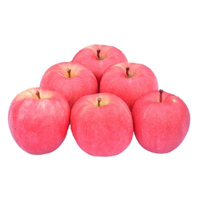 China Gansu Fresh Fuji Red Fresh Apple for sale