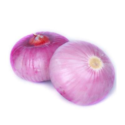 China Fresh dry red onion for sale