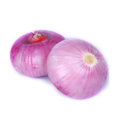 China New Fresh Onion Export Red Onion Fresh Cultivation for sale