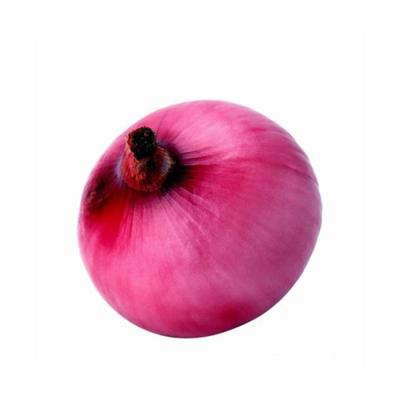 China Gansu Fresh Onion Red Onion Fresh Yellow Onion for sale