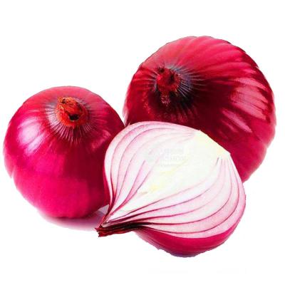 China China red onion fresh yellow onion fresh onion for sale