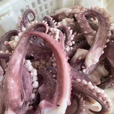 China Nutritious Logo Frozen Giant Squid Tentacles IQF 4-7 PCs for sale