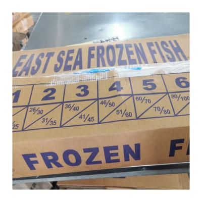 China 20CM NATURE Sea Saurels Frozen Smoked Fish South Africa for sale