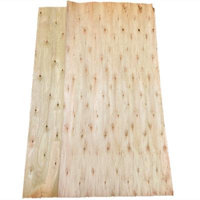 China Drying large wood veneer drying machine dried eucalyptus veneer with 6-8% moisture for sale