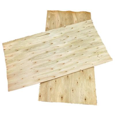 China Curing Cheap Eucalyptus 6%-8% Curing Laminate For Commercial Plywood for sale