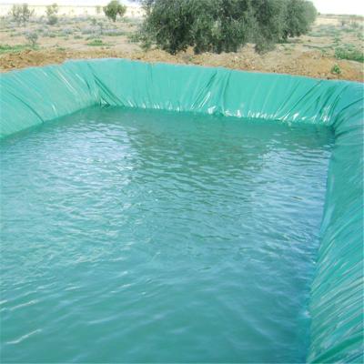 China Traditional HDPE Material PVC Waterproofing Plastic Geomembrane Membrane For Fish Pond for sale