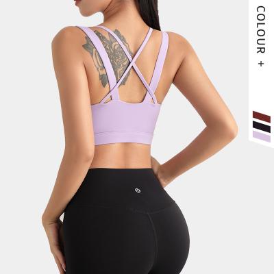 China Sports Yoga High Print Nylon Bra Wholesale Quick Dry Breathable Bra Double Shoulder Straps Fulls For Fitness Running for sale