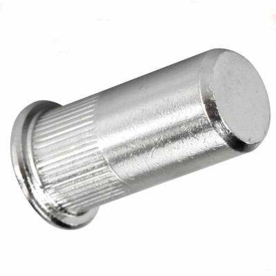 China Heavy Industry Zinc Plating Stainless Steel Plugged Flat Head 316 Threaded Blind Rivet Nut Inserts for sale