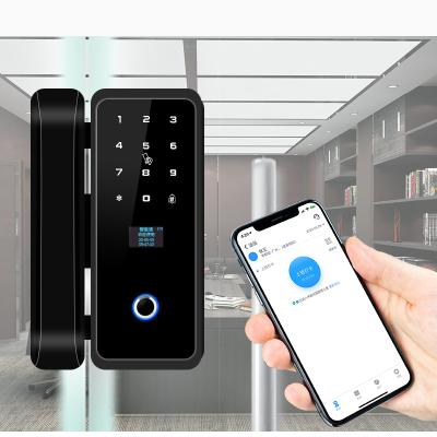 China New TTLock Smart Wireless Biometric Office XPO 2020 Fingerprint Glass Door Lock With Optional WIFI Function for sale