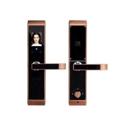 China Wooden Doors Face And Palm ID Smart Digital Door Lock for sale