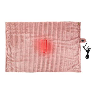 China Direct Selling Double Layer Free Thick Electric Heated Throw Usb Electric Heating Blanket For Winter for sale