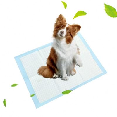 China Amazon Selling Dog Pee Toilet Puppy Warm Disposable Pads High Viable Training Pet Supply Absorbency Pad Dog Diaper for sale