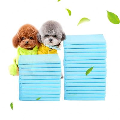 China 2022 Hot Sale High Viable Absorbent Disposable Puppy Training Pad Pet Training Products Dog Pee Pads for sale