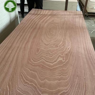 China Traditional Plywood price Sapele plywood furniture boards 4x8 E1 Glue Poplar Core heet for cabinet commercial plywood for sale