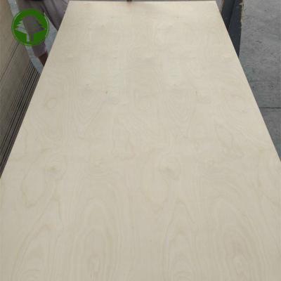 China Modern 18mm 2 Times Poplar Core Birch Commercial Plywood For Furniture for sale