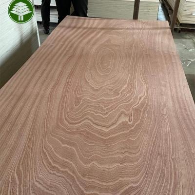 China Traditional Hot sales Plywood price Sapele plywood furniture boards 4x8 E0 Glue Poplar Core heet for cabinet commercial plywood for sale